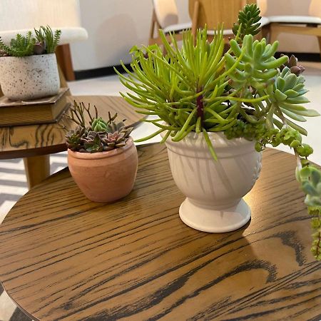 Apartamento Em Santa Teresa Santa Teresa  Exteriör bild