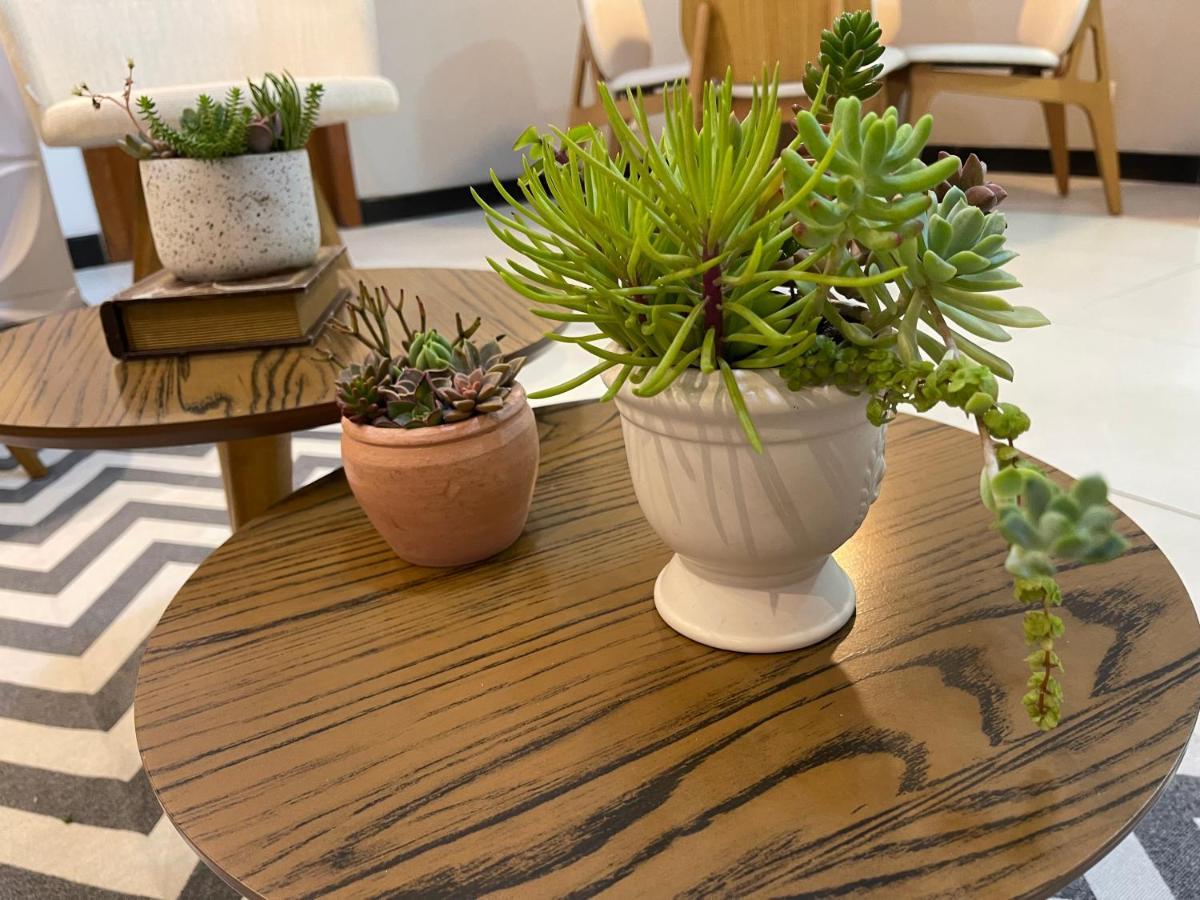 Apartamento Em Santa Teresa Santa Teresa  Exteriör bild